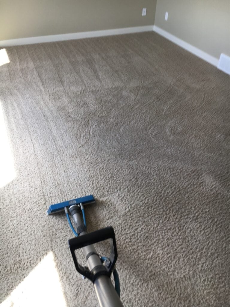freshly cleaned carpets