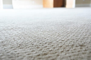 close up of clean carpet