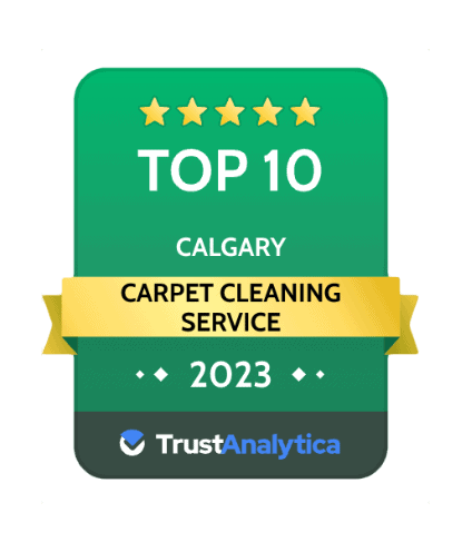 voted top 10 carpet cleaning service