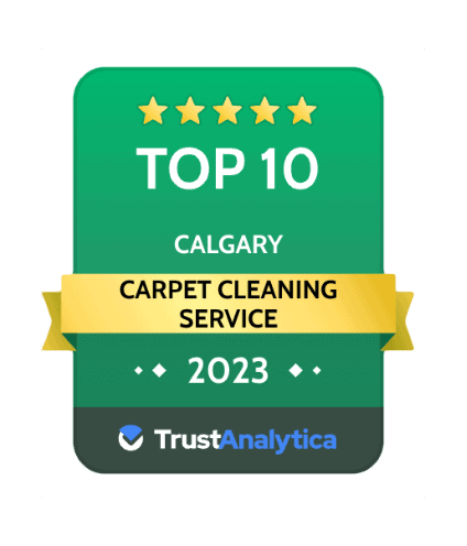 voted top 10 carpet cleaning service