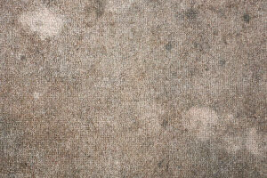 close up picture of dirty carpet