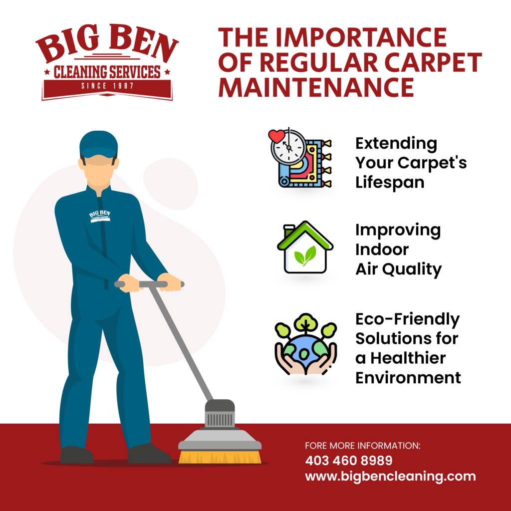 the-importance-of-regular-carpet-maintenance