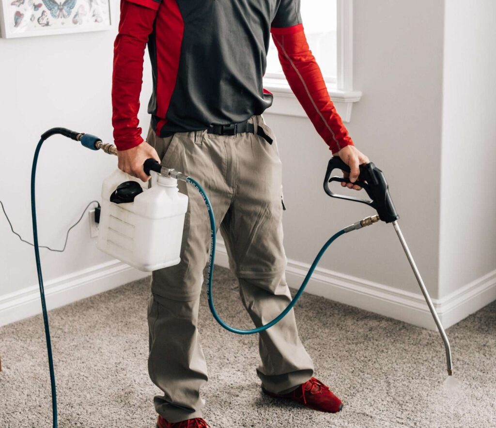 Big Ben Cleaning technician using advanced equipment to deep clean a carpet in a Calgary home.