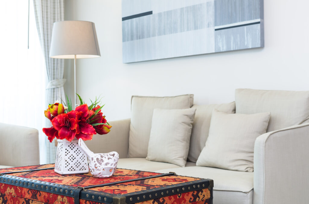 Sofa and couch cleaning services in Calgary
