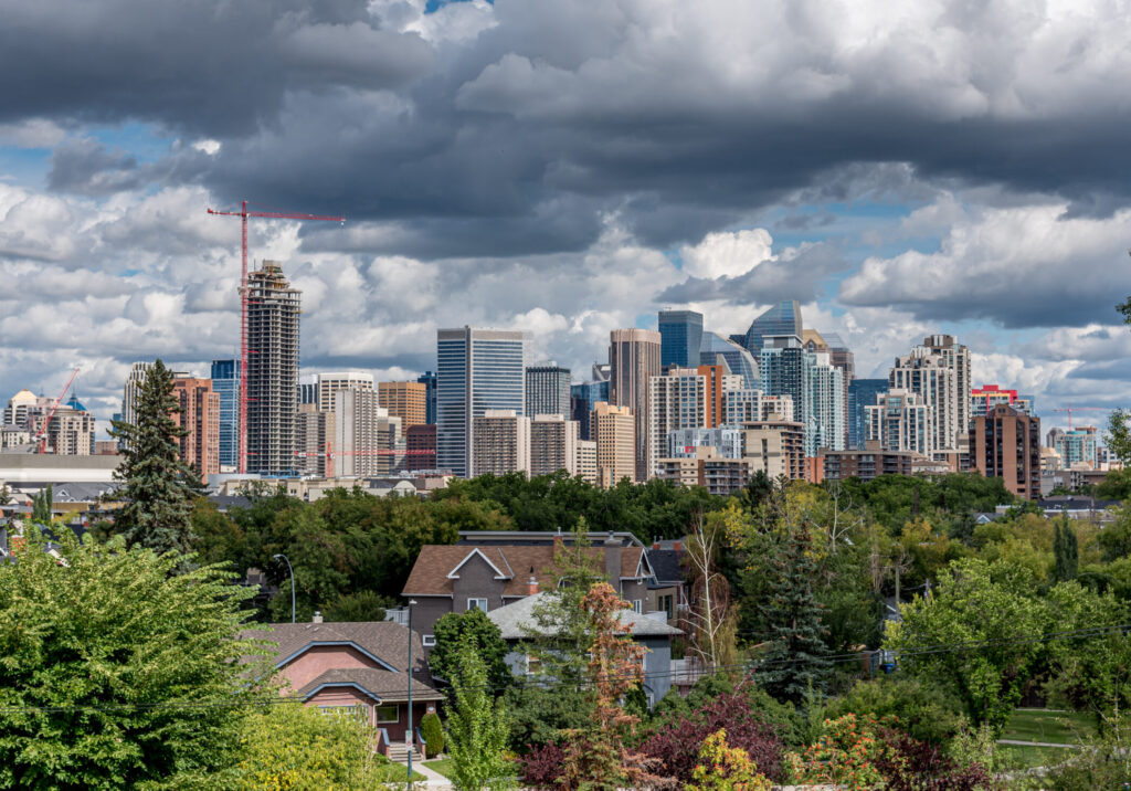 professional carpet cleaners for all calgary neighborhoods